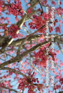 FOR WEB -Smudge Skittle Individual Cards layout - Pack of Cards - Alys Longley - 29 May 2018_0360